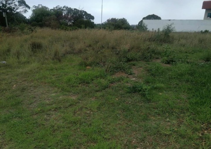 Commercial Property for Sale in Wavecrest Eastern Cape